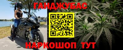 прущие грибы Ликино-Дулёво
