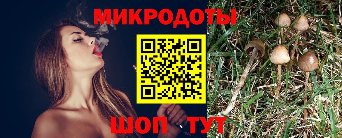 Псилоцибиновые грибы ЛСД Добрянка